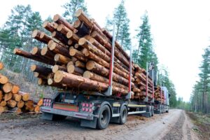 Timber truck recently loaded, parked on a small Scandinavian dirt road.